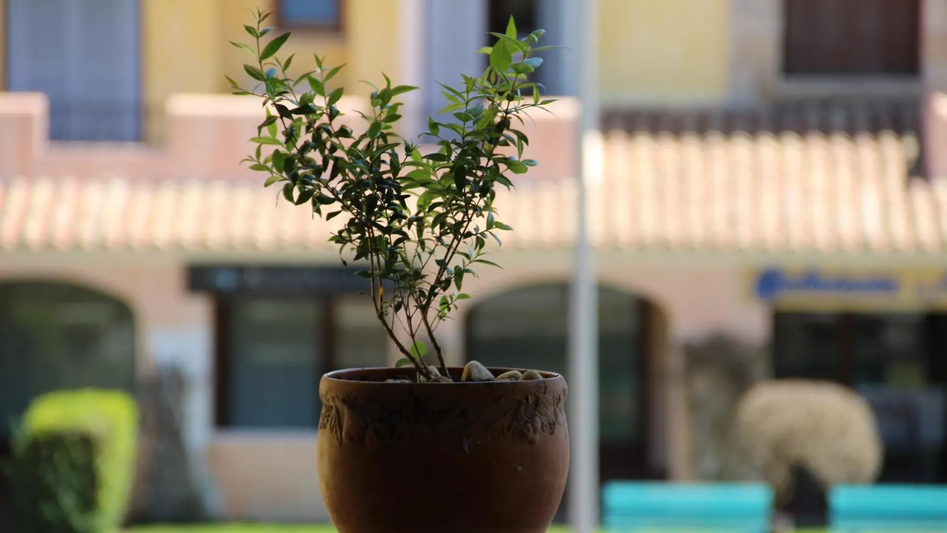 Apartment Appartamento Le Vele2 Porto San Paolo